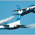 会場内から悲鳴が上がるブルーインパルスの課目