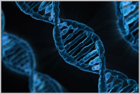 DNA鑑定による科学捜査はどこまで進化する？