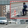 神出鬼没のネズミ捕りを察知する出現フラグとは