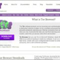 Tor(トーア)の秘匿サービスで見られるもの