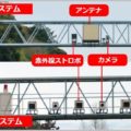 中身が空の「ゾンビオービス」が増えている理由