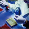 科学捜査の世界もキャリアとノンキャリアが存在