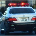 高速では違反「後部座席シートベルト」の着用率