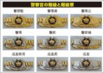 警察官の階級章は警視正以上になるとオール金色