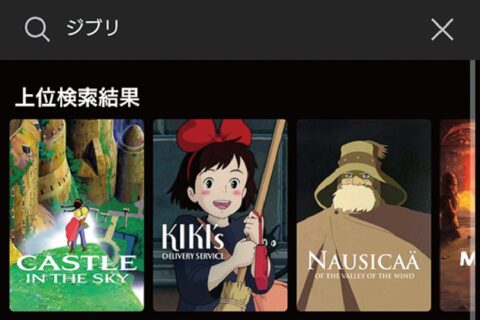 Netflixの日本未配信コンテンツをVPNで制限突破