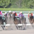 競馬など公営ギャンブルで還元率が高いのどれ？