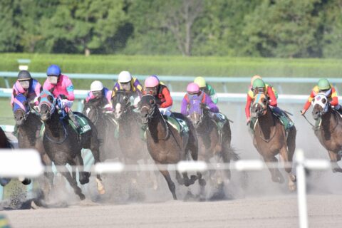 競馬など公営ギャンブルで還元率が高いのどれ？