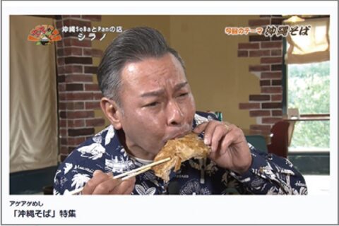 TVerはもはや地デジよりも配信局数が多かった!?