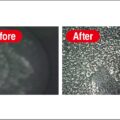 マニア注目の添加剤でパワーと燃費の向上を体感