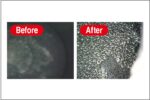 マニア注目の添加剤でパワーと燃費の向上を体感