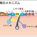 汗臭さの原因となるベタベタ汗を改善する裏ワザ