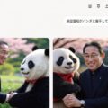 「Grok」の画像生成は著作権にユルいのが魅力？