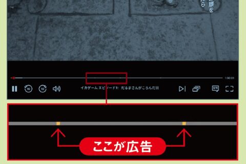 Netflix最安プランで流れる広告をブロックする